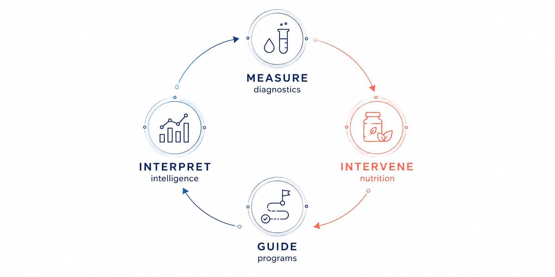 The metabolic feedback loop: measure, intervene, guide, interpret